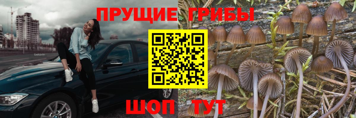 Казань  Галлюциногенные грибы Magic Shrooms  Вход с VPN 